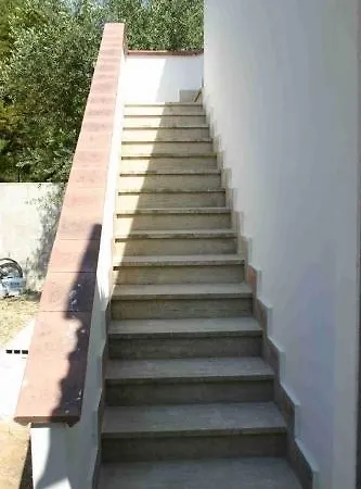 Monica Torre Colimena